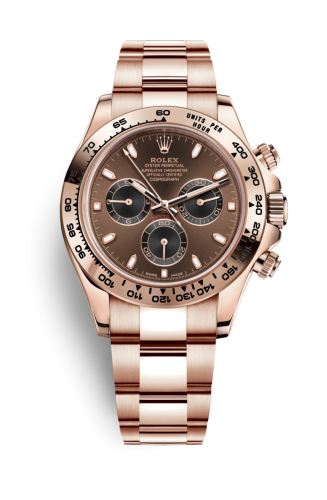 Cosmograph Daytona Everose / Chocolate