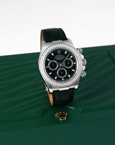Daytona White Gold Double Row Strap Black